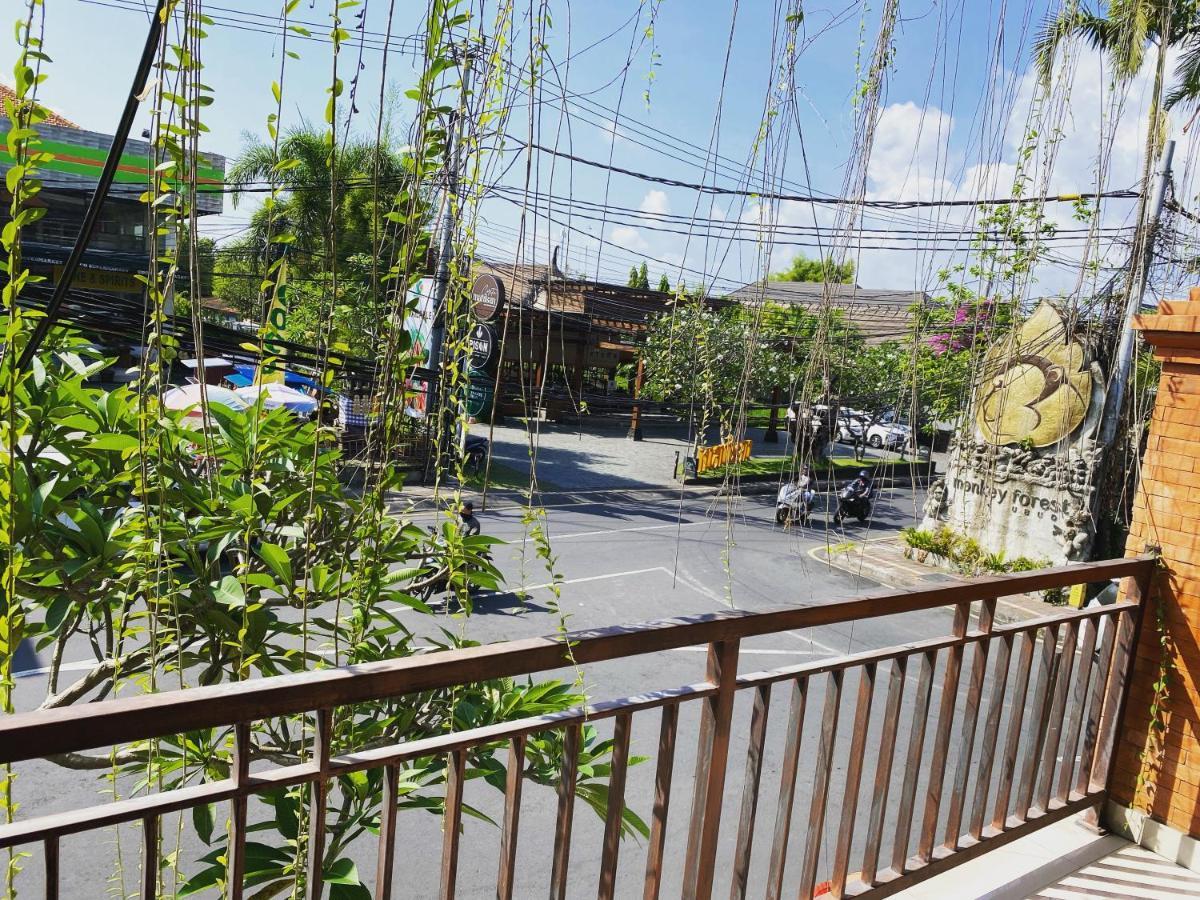 Grey House Monkey Forest Ubud Exteriör bild
